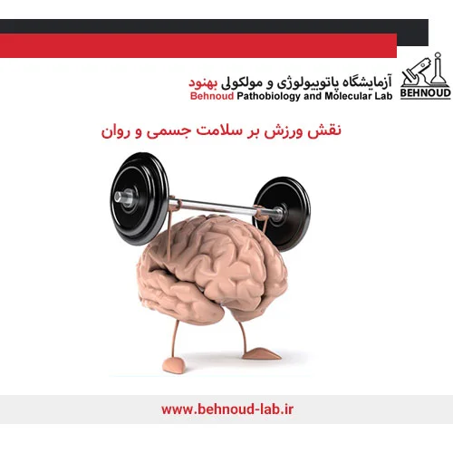 نقش ورزش بر سلامت جسمی و روان
