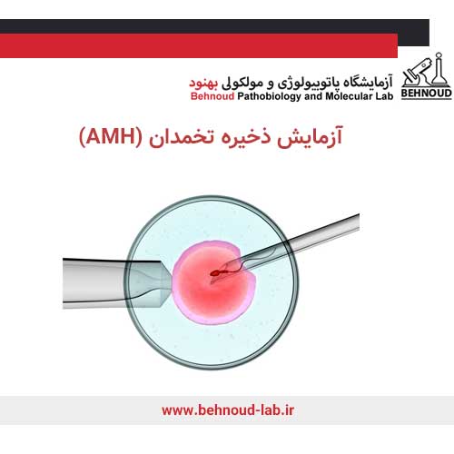 ارتباط سطح AMH و موفقیت IVF