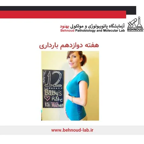 علائم هفته دوازدهم 