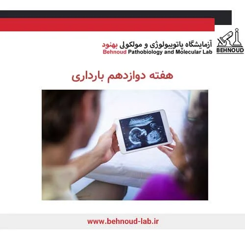 غربالگری 3 ماه اول