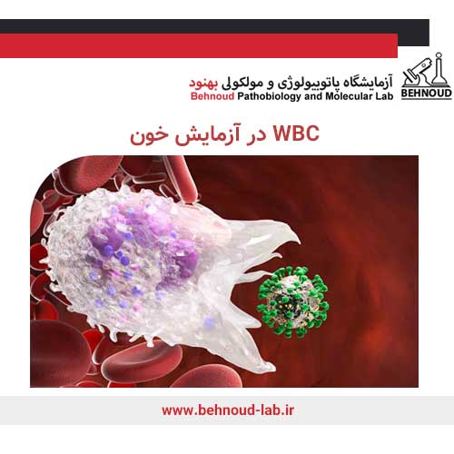 WBC در آزمایش خون