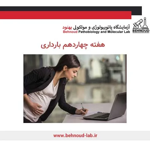 زنان شاغل در بارداری