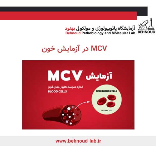 MCV در آزمایش خون