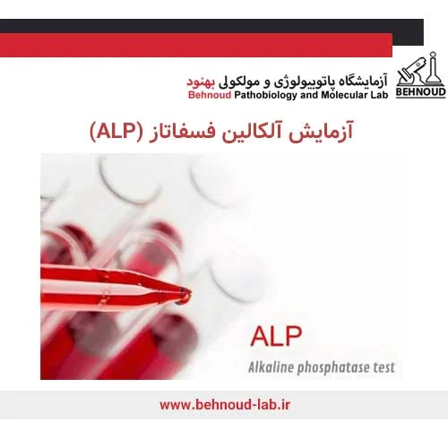 آزمایش ALP