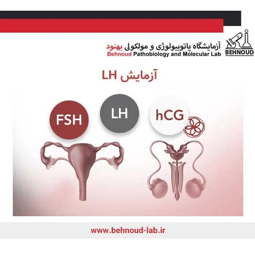آزمایش LH