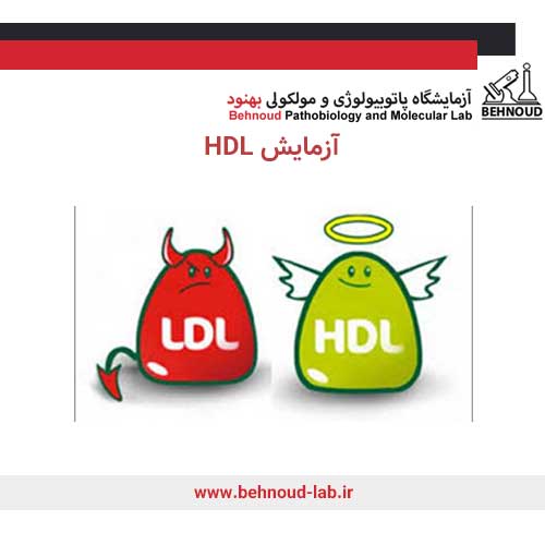 تفاوت آزمایش HDL و LDL