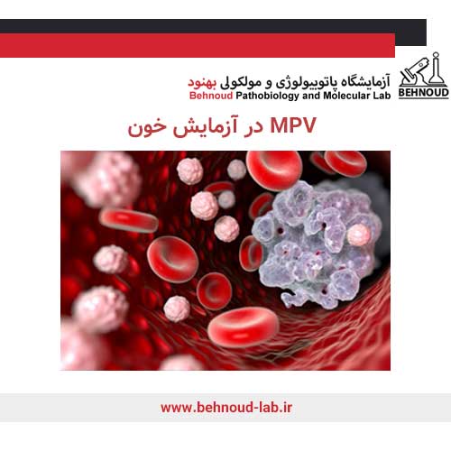 MPV در آزمایش خون